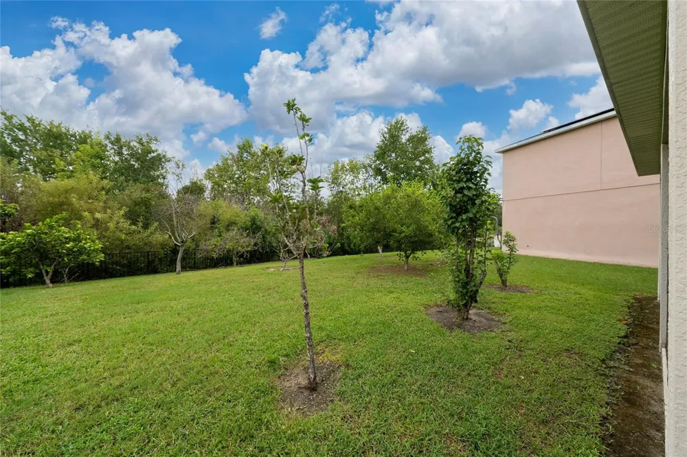 4752 BLUE DIAMOND STREET Kissimmee, FL 34746