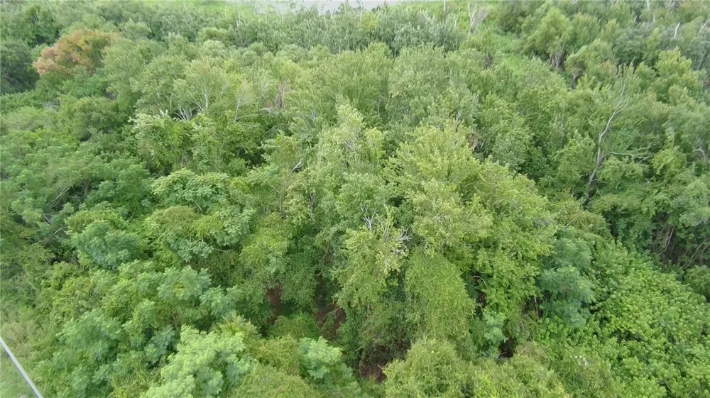 0 ALFRED DRIVE E Lake Alfred, FL 33850