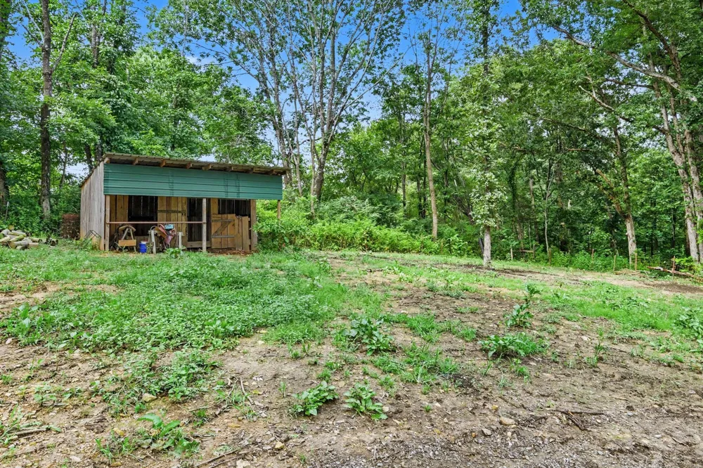 1040 Nosegay Rd White Bluff, TN 37187