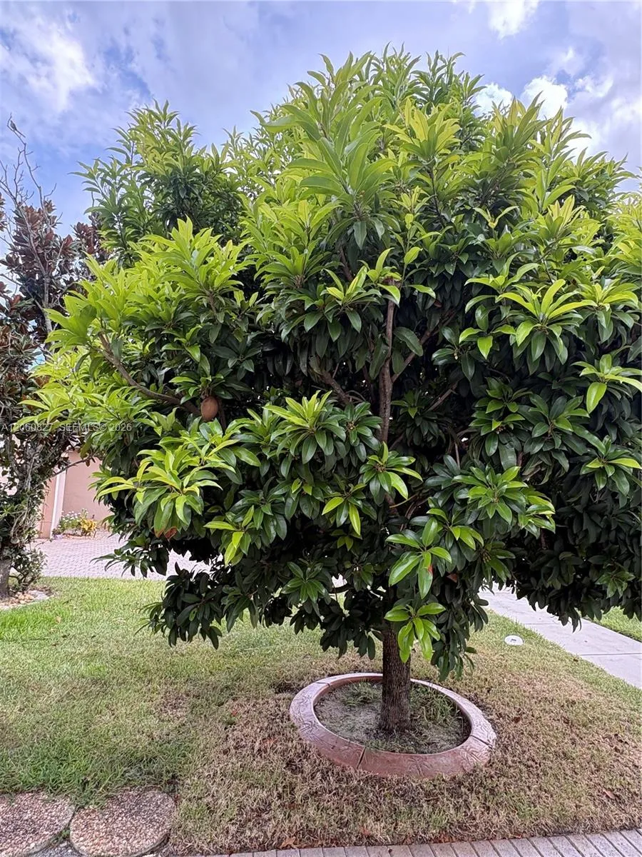 1853 NW 130th Ave Pembroke Pines, FL 33028