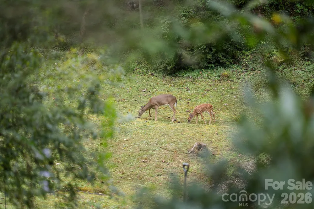 275 Knob Hill Estates Road Sylva, NC 28779
