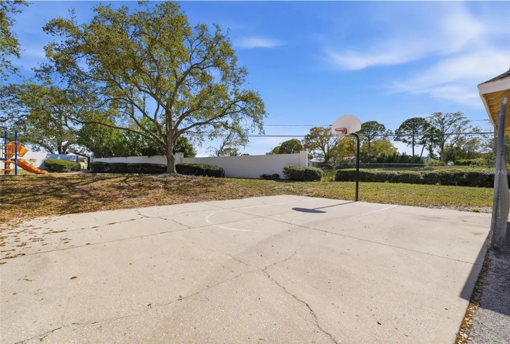 3274 HAVILAND COURT #201 Palm Harbor, FL 34684