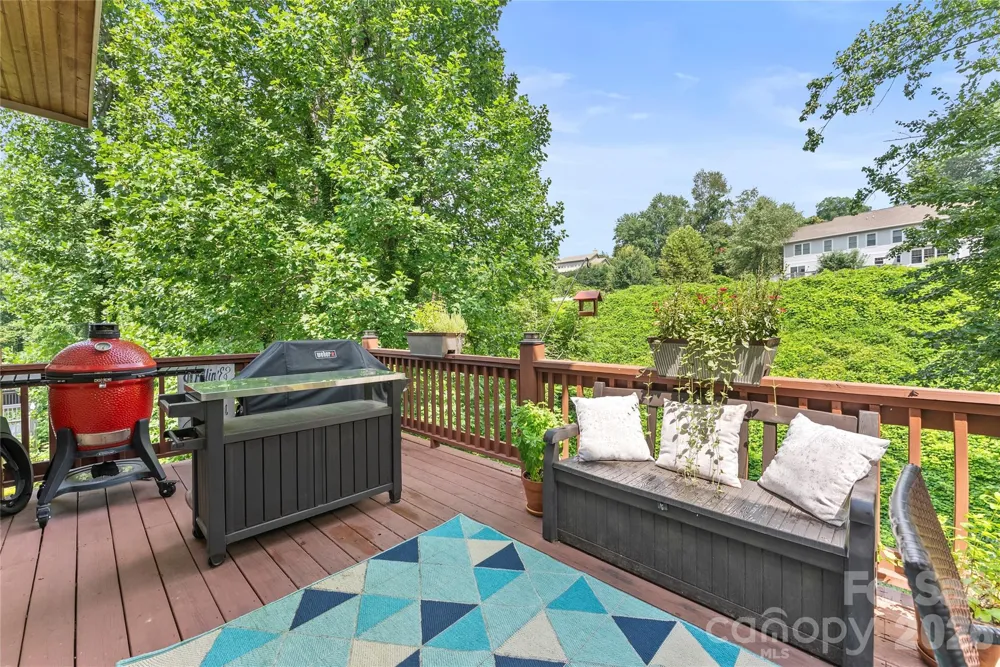 118 Houston Street Asheville, NC 28801