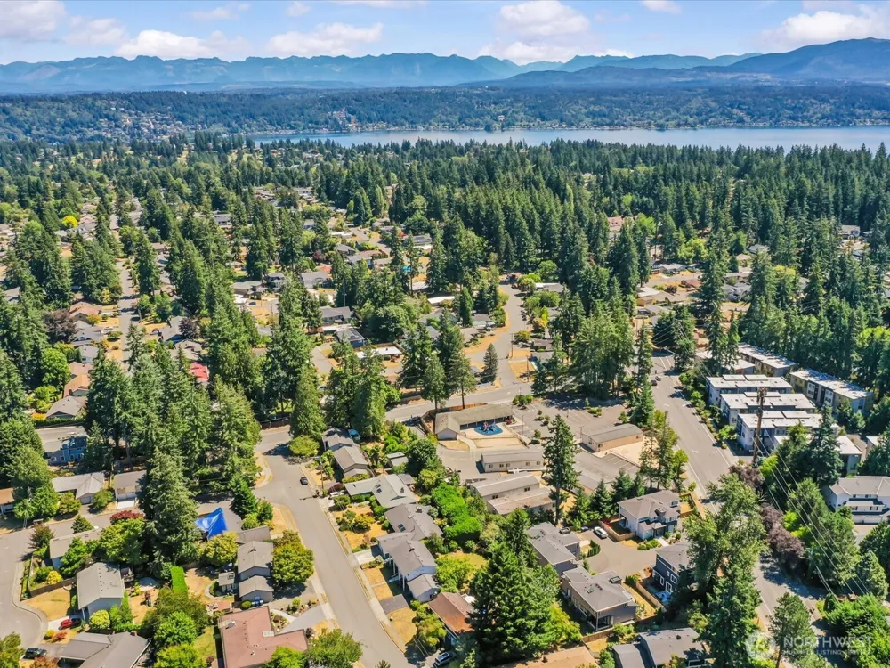 1719 163rd Court NE Bellevue, WA 98008