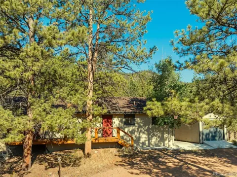 62 White Trail
