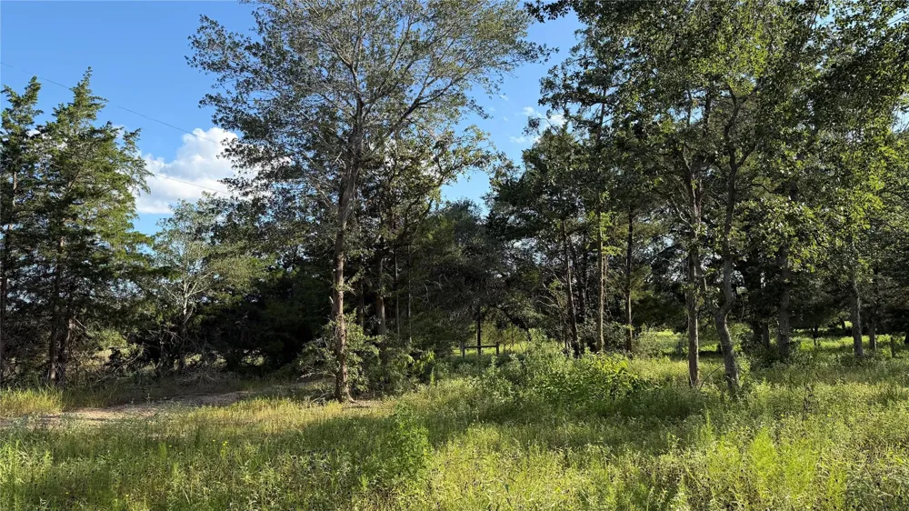 26011 Bernard Road New Ulm, TX 78950