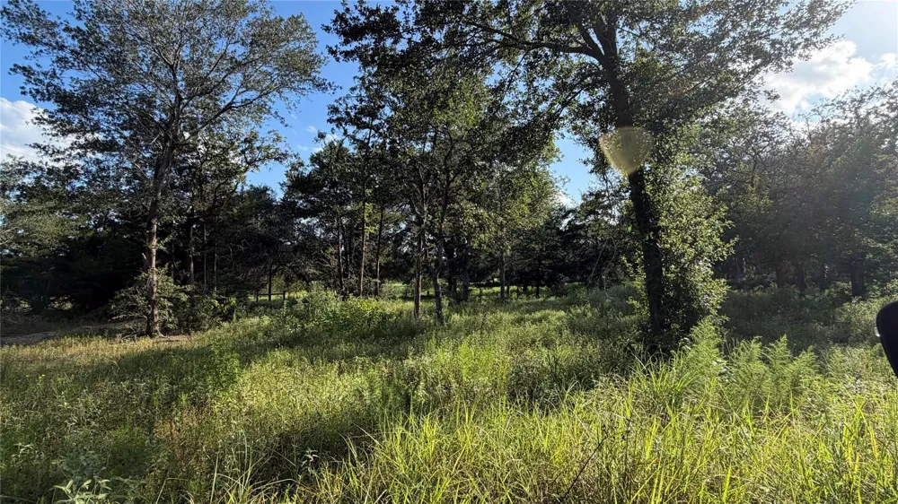 26011 Bernard Road New Ulm, TX 78950