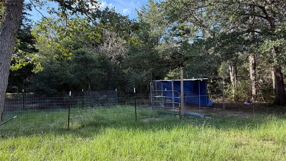 26011 Bernard Road New Ulm, TX 78950