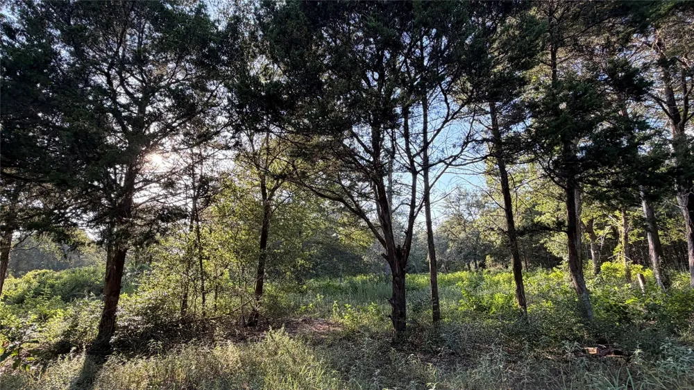 26011 Bernard Road New Ulm, TX 78950