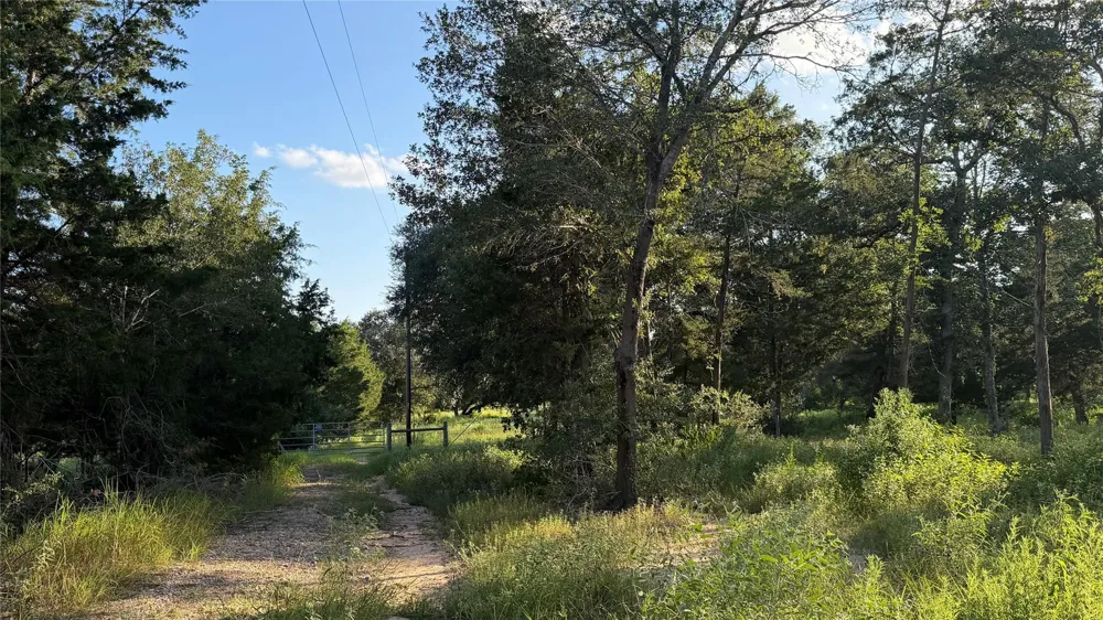 26011 Bernard Road New Ulm, TX 78950