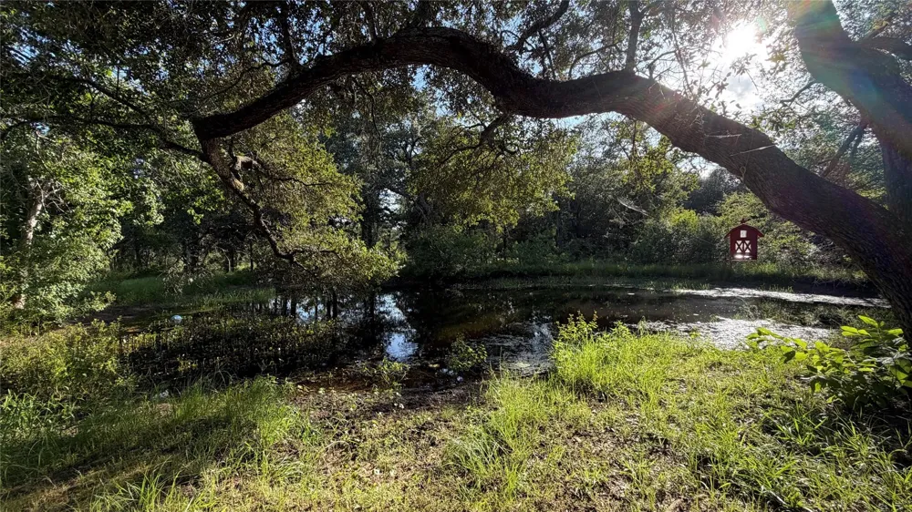 26011 Bernard Road New Ulm, TX 78950