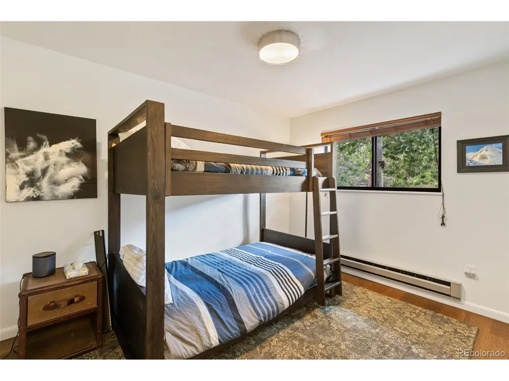 62 White Trail Lake George, CO 80827