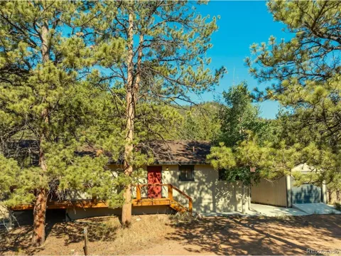 62 White Trail