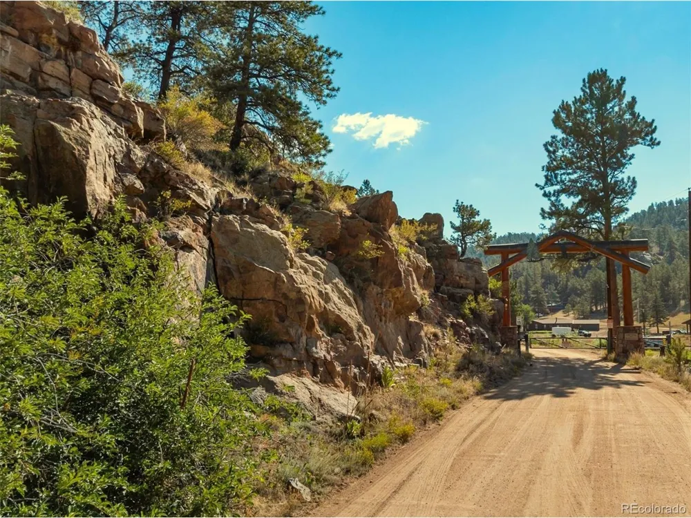 62 White Trail Lake George, CO 80827