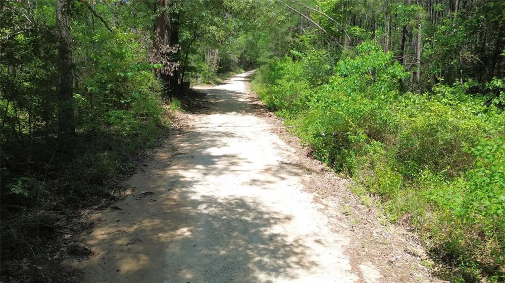 Cr 4720 Kennard, TX 75847