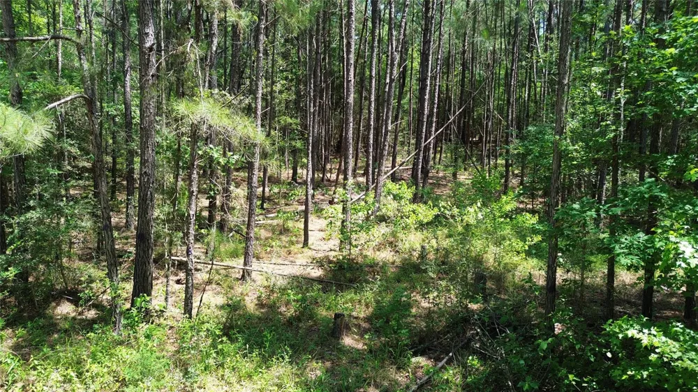Cr 4720 Kennard, TX 75847