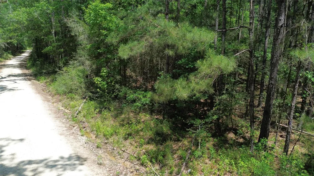 Cr 4720 Kennard, TX 75847