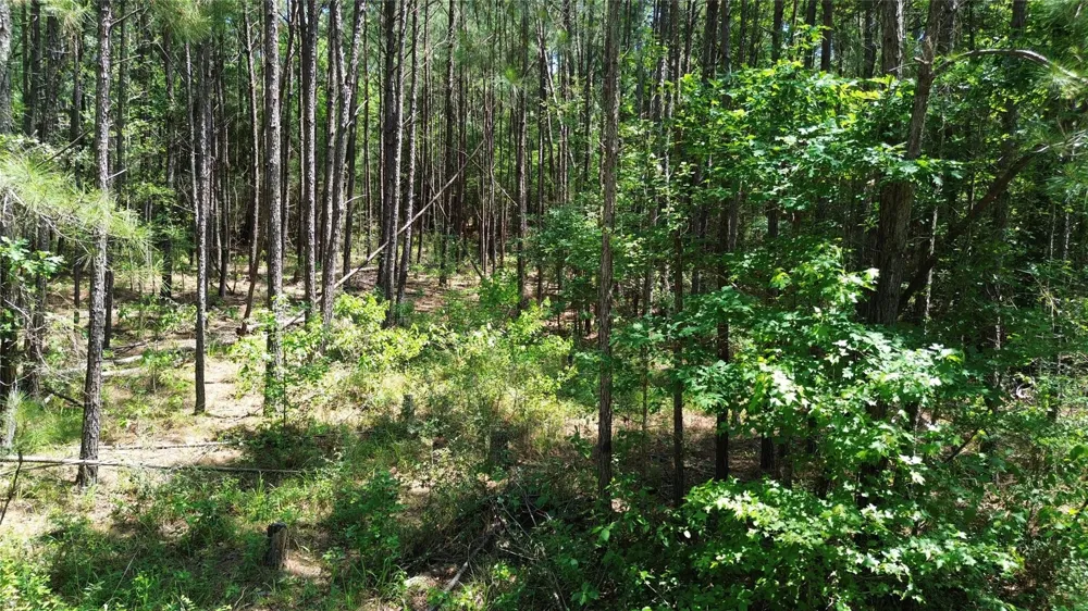 Cr 4720 Kennard, TX 75847