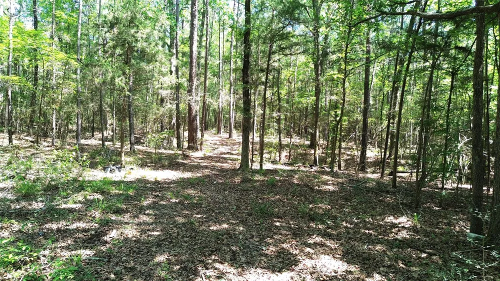 Cr 4720 Kennard, TX 75847
