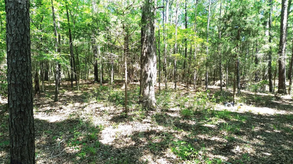 Cr 4720 Kennard, TX 75847