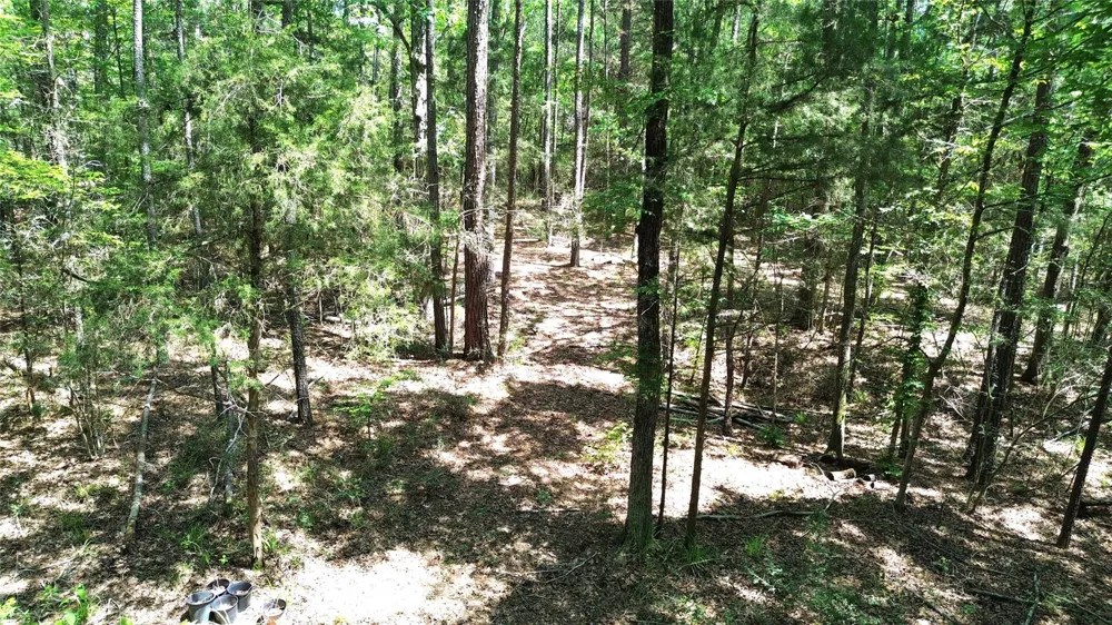 Cr 4720 Kennard, TX 75847