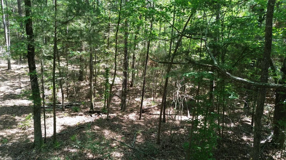 Cr 4720 Kennard, TX 75847