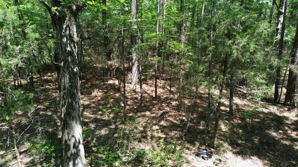 Cr 4720 Kennard, TX 75847