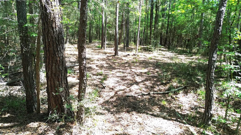 Cr 4720 Kennard, TX 75847