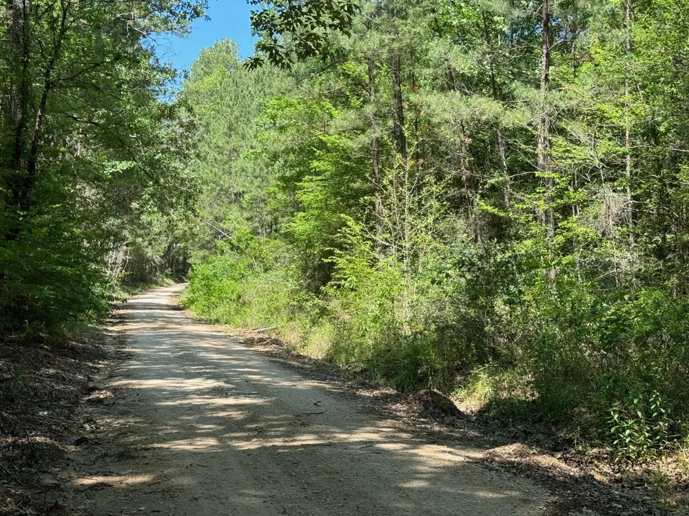 Cr 4720 Kennard, TX 75847
