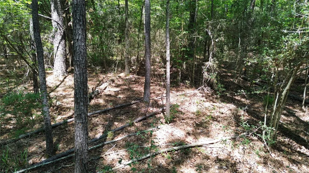 Cr 4720 Kennard, TX 75847