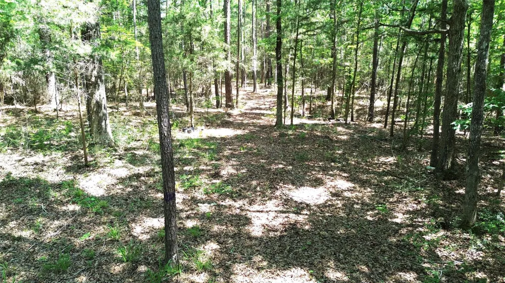 Cr 4720 Kennard, TX 75847