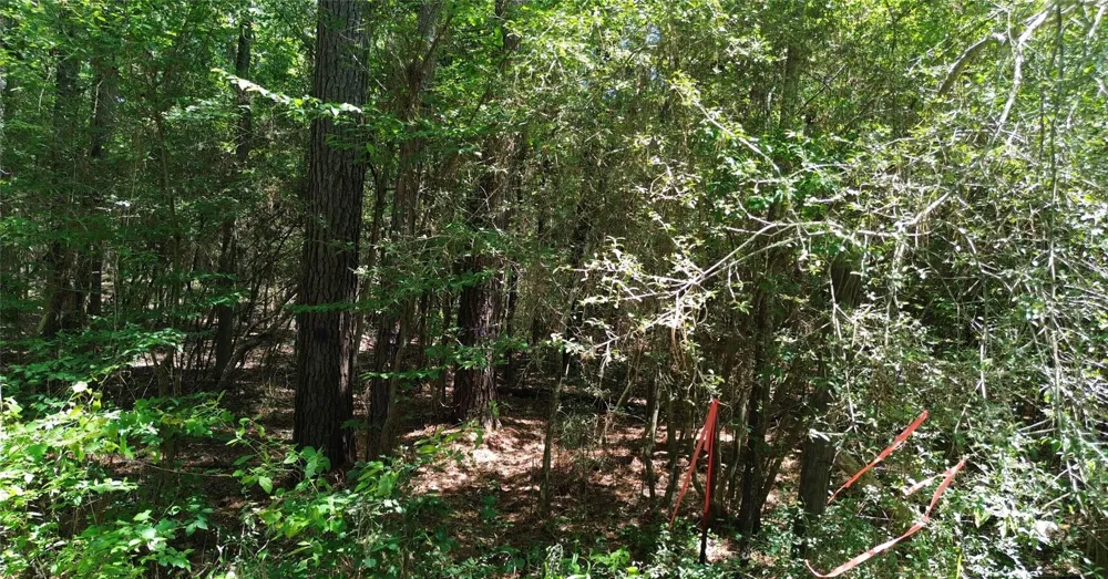 Cr 4720 Kennard, TX 75847
