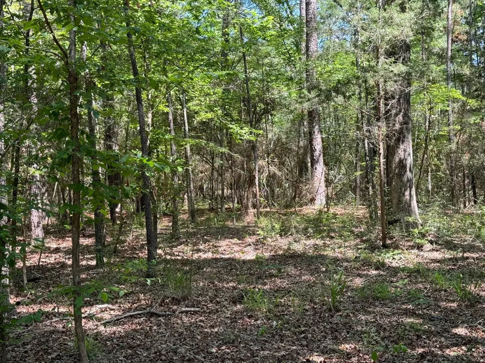 Cr 4720 Kennard, TX 75847