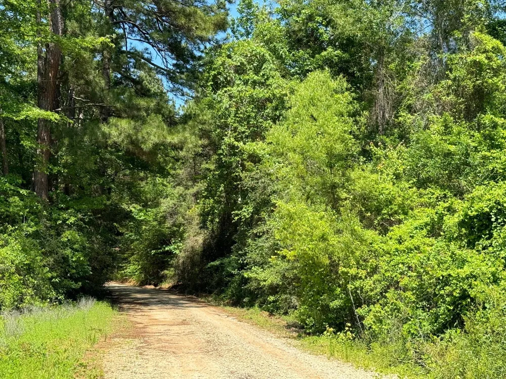 Cr 4720 Kennard, TX 75847