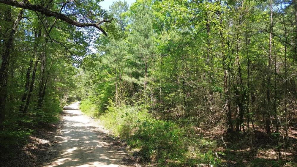 Cr 4720 Kennard, TX 75847