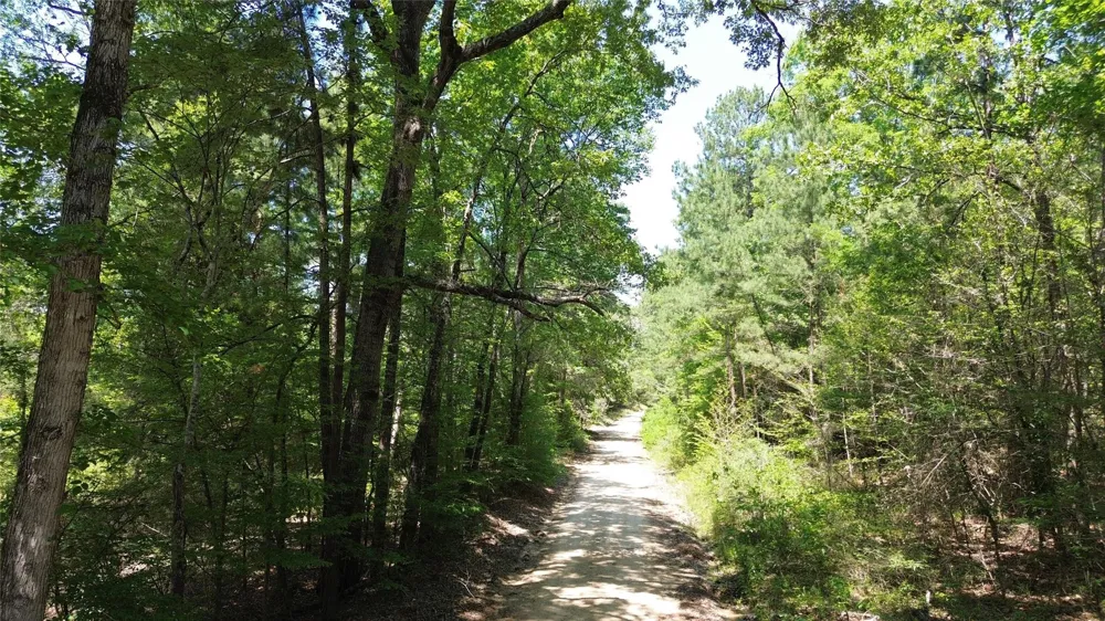 Cr 4720 Kennard, TX 75847
