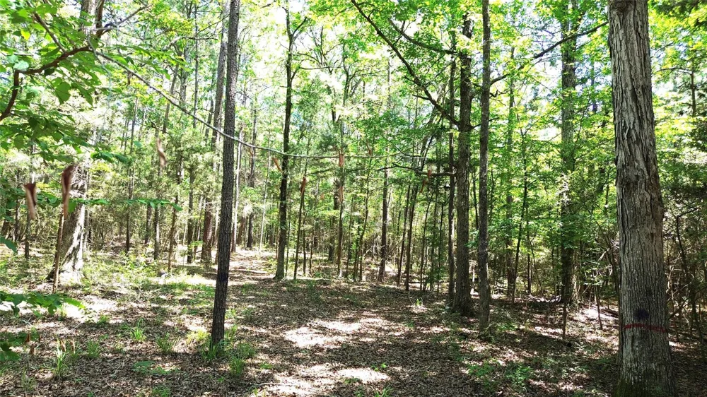 Cr 4720 Kennard, TX 75847