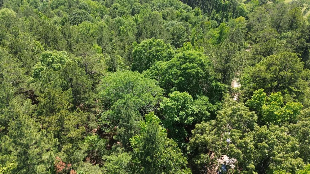 Cr 4720 Kennard, TX 75847