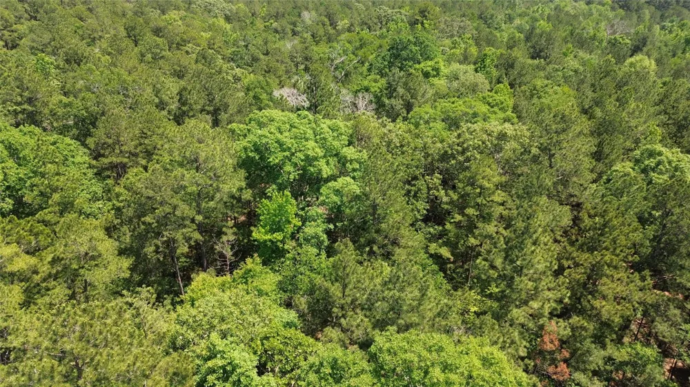 Cr 4720 Kennard, TX 75847