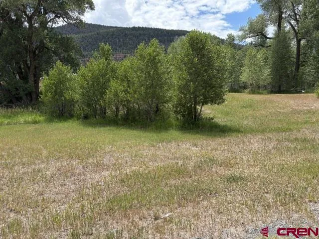 216 W Riverside Court South Fork, CO 81154