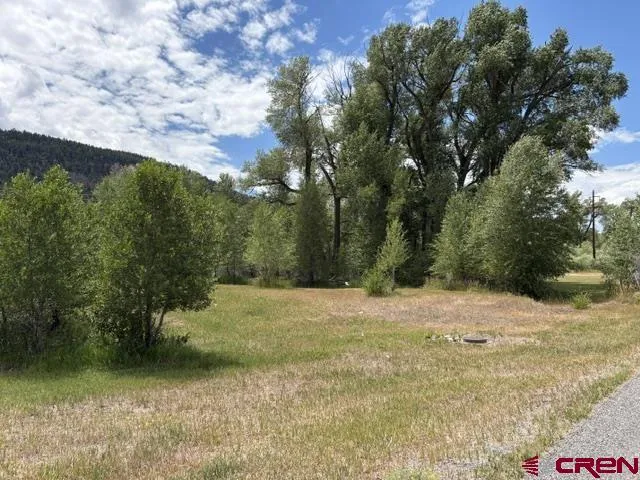 216 W Riverside Court South Fork, CO 81154