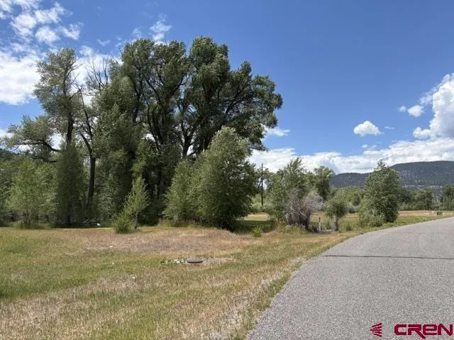 216 W Riverside Court South Fork, CO 81154