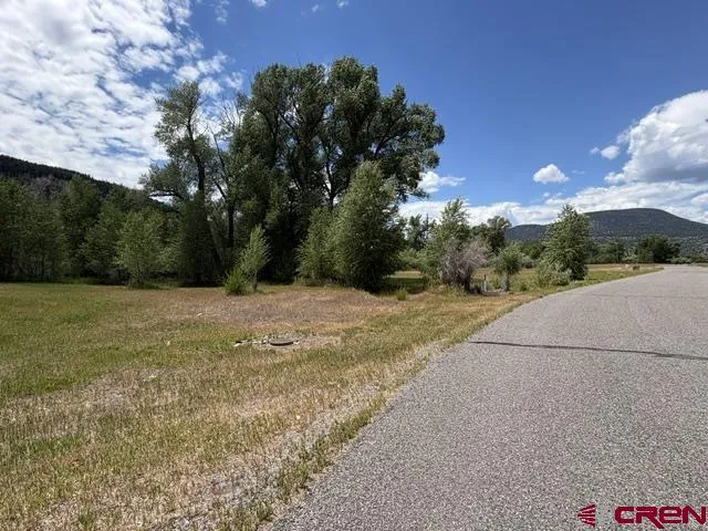 216 W Riverside Court South Fork, CO 81154