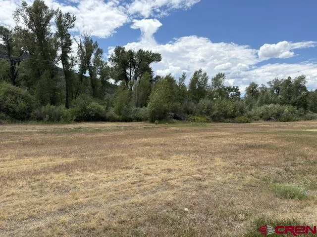 216 W Riverside Court South Fork, CO 81154