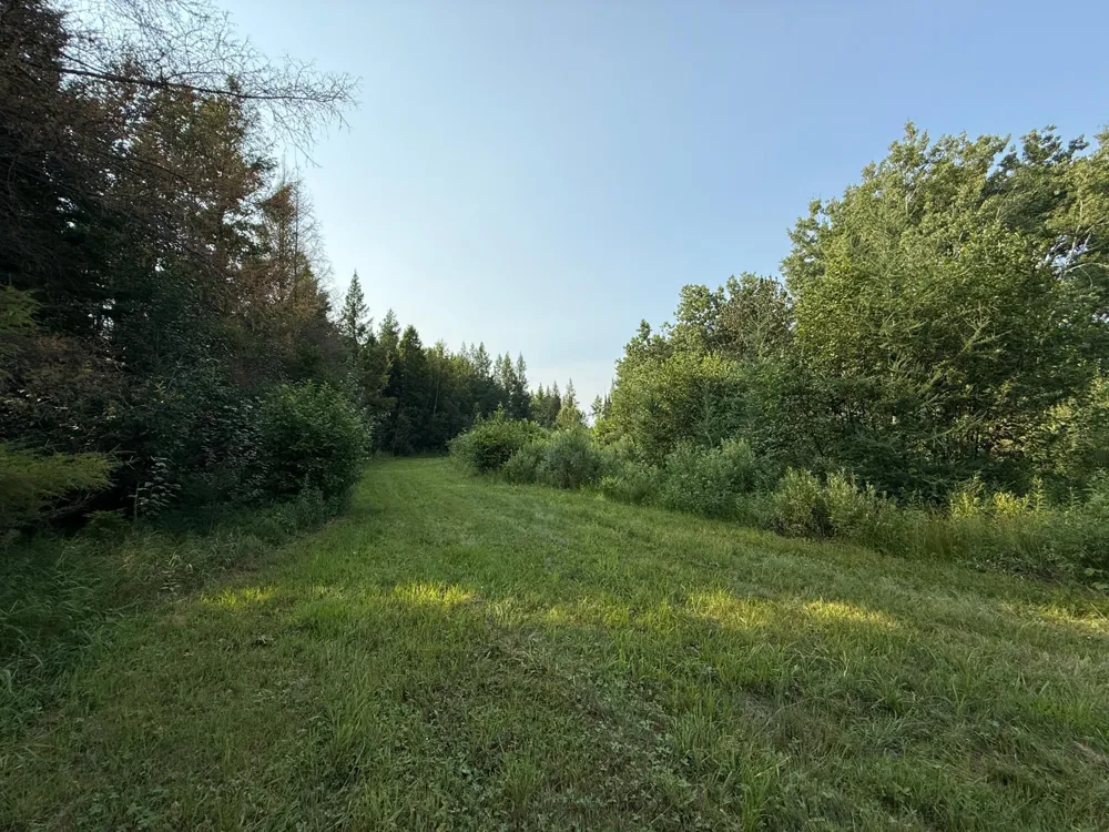 1159 HWY 83/Overton Rd. Meadowlands, MN 55765