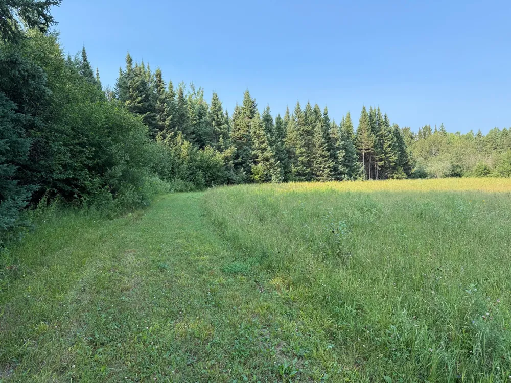 1159 HWY 83/Overton Rd. Meadowlands, MN 55765
