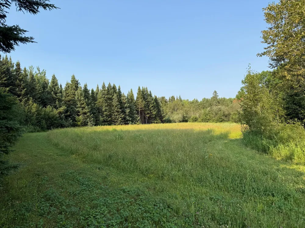 1159 HWY 83/Overton Rd. Meadowlands, MN 55765