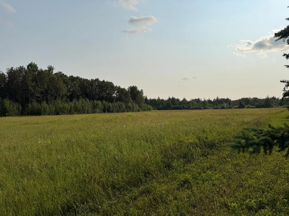 1159 HWY 83/Overton Rd. Meadowlands, MN 55765