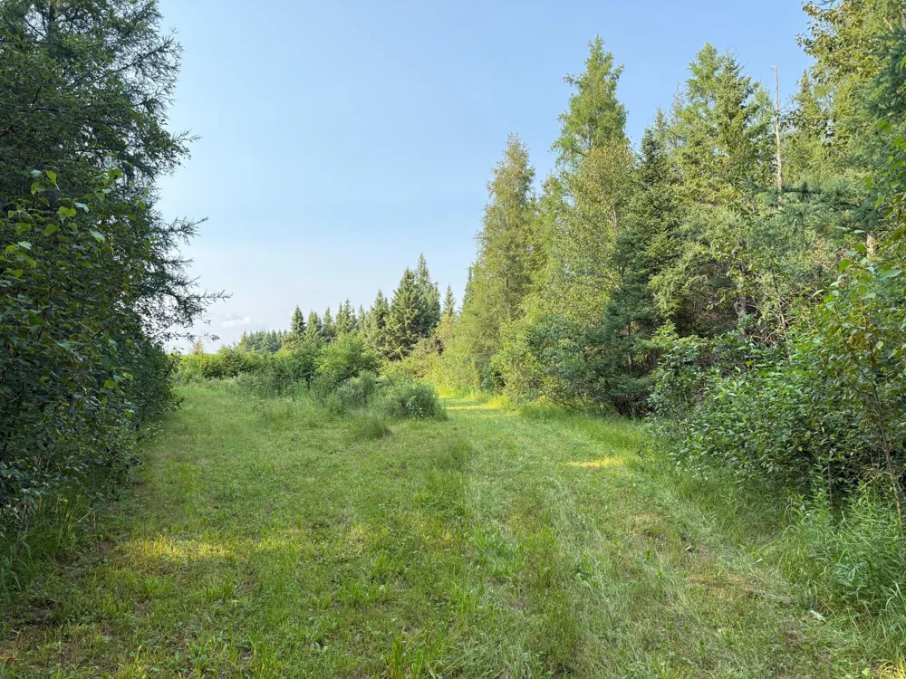 1159 HWY 83/Overton Rd. Meadowlands, MN 55765