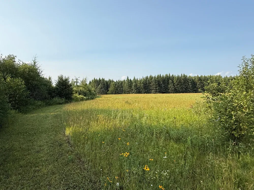 1159 HWY 83/Overton Rd. Meadowlands, MN 55765